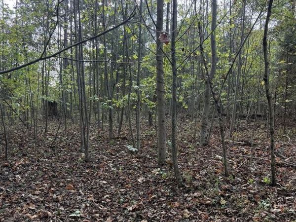 0 Remington Lane Lots 17 & 18, Dunmor, KY 42339