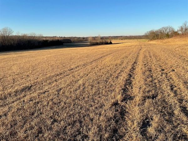 61.96ac Mary Fitch Road, Tom Bean, TX 75090
