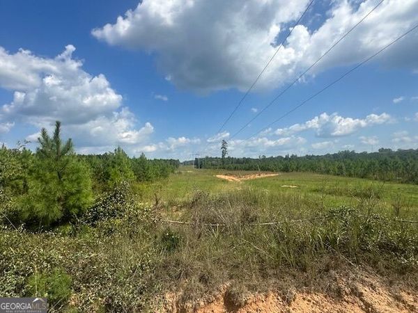 0 Millen Road, Unit TRACT #20, Monticello, GA 31064