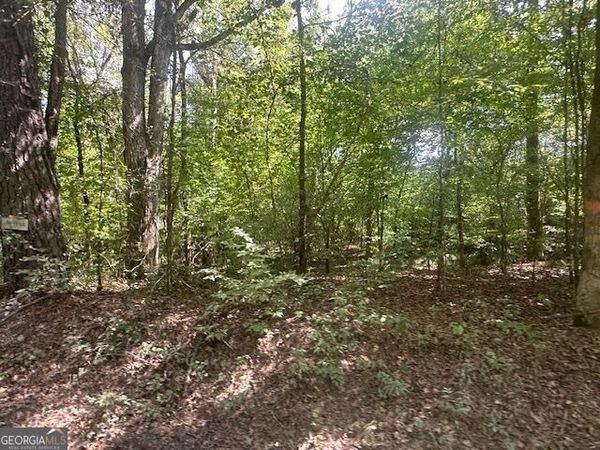 0 Millen Road, Unit TRACT #22, Monticello, GA 31064