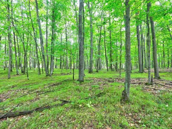 0 Twin Lake Road, Hayward, WI 54843