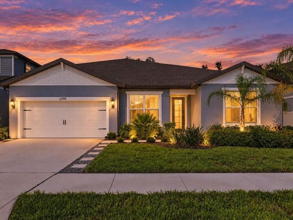12919 WILLOW GROVE DRIVE , RIVERVIEW, FL 33579