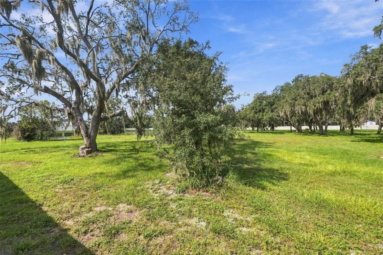 12919 Willow Grove Drive, Riverview, FL 33579 Photo