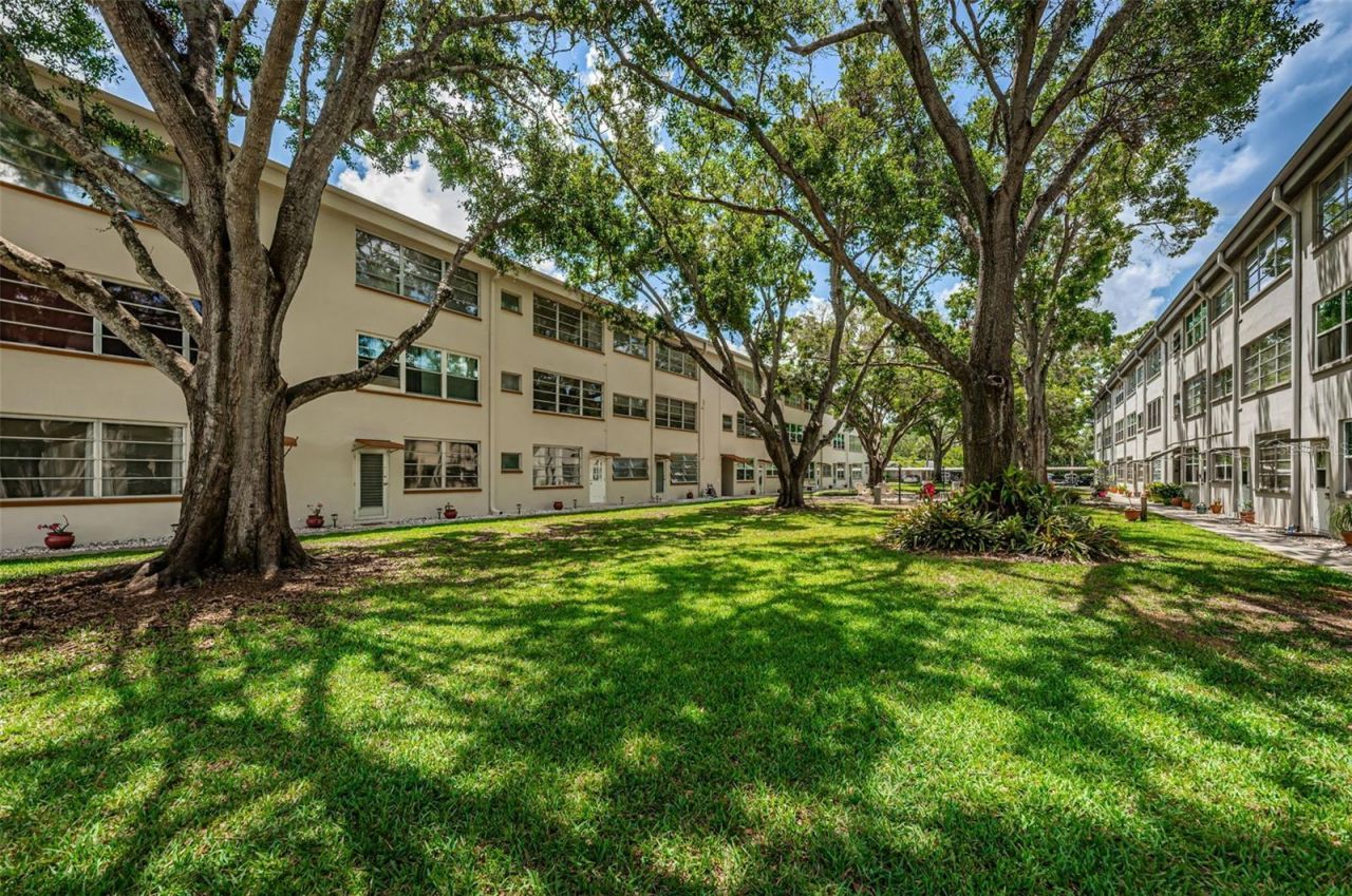 5880 38th Avenue N, Unit 309, Saint Petersburg, FL 33710 Photo
