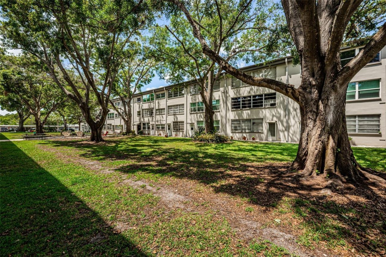 5880 38th Avenue N, Unit 309, Saint Petersburg, FL 33710 Photo
