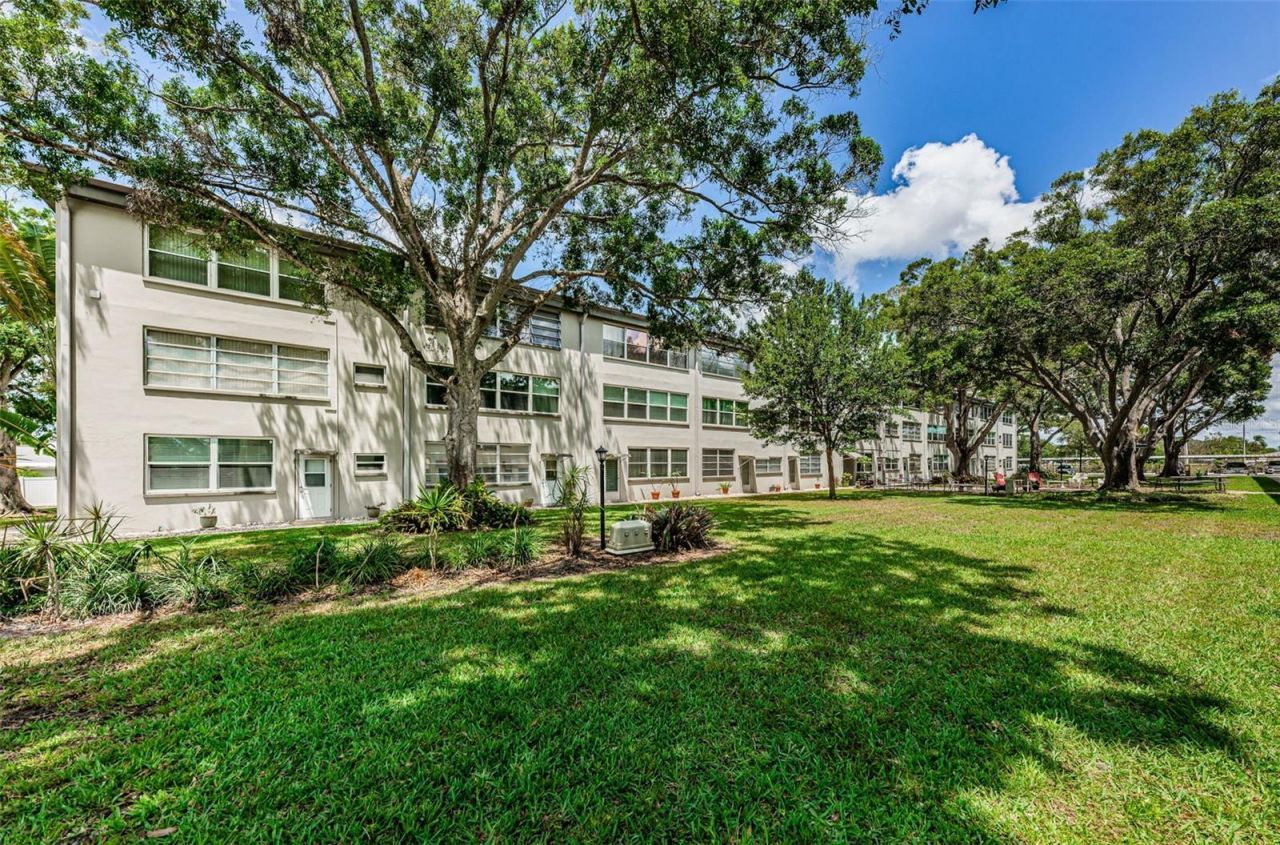 5880 38th Avenue N, Unit 309, Saint Petersburg, FL 33710 Photo