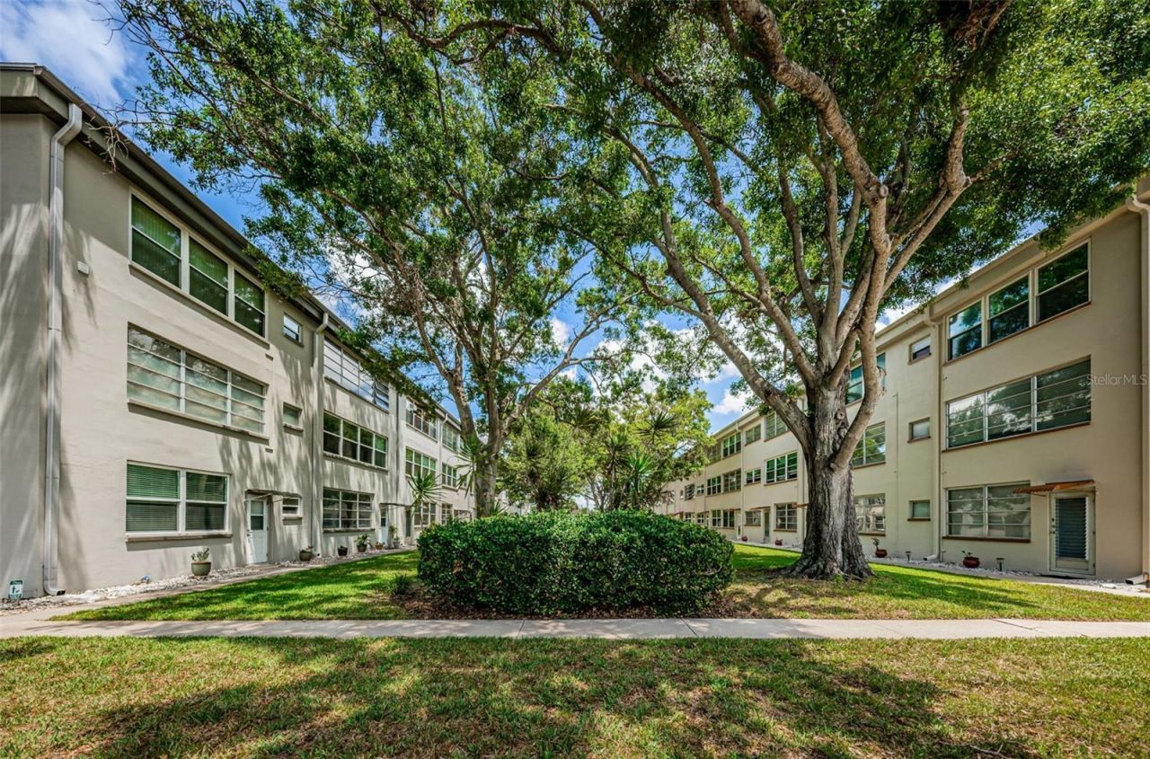 5880 38th Avenue N, Unit 309, Saint Petersburg, FL 33710 Photo
