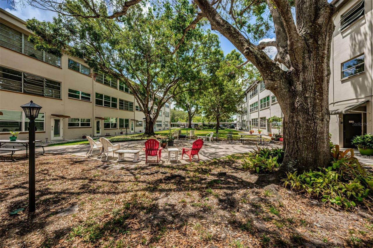 5880 38th Avenue N, Unit 309, Saint Petersburg, FL 33710 Photo