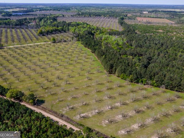 30.91 ACRES Kermit Road, Cobbtown, GA 30420