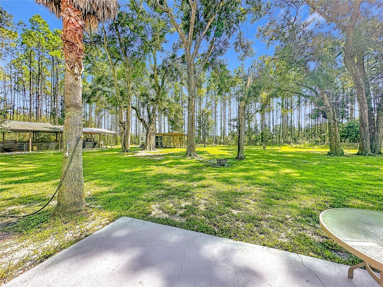 13851 NW 65th Avenue , Chiefland, FL 32626 Photo