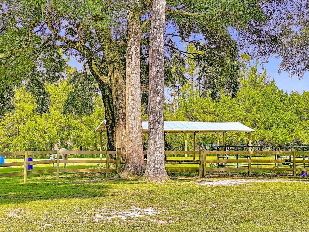 13851 NW 65th Avenue , Chiefland, FL 32626 Photo