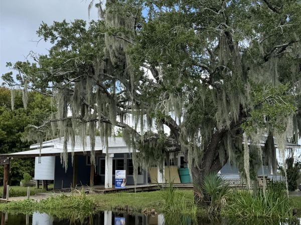 32325 Hwy Canal, Ponchatoula, LA 70454