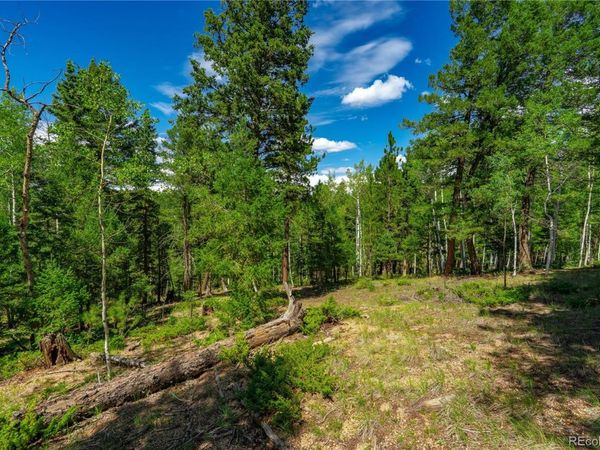 431 Cottonwood Lake Drive, Divide, CO 80814