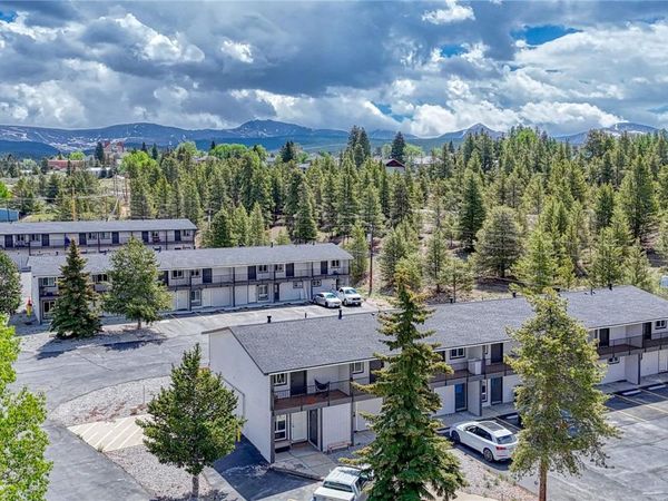 921 Mt Massive Drive , Unit 16, Leadville, CO 80461