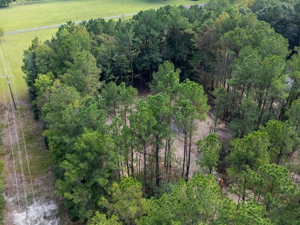 0 Us Hwy 117 N, Unit Remnant, Willard, NC 28478