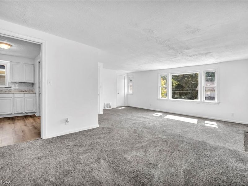 907 Whittier Avenue, Akron, OH 44320 Photo 8