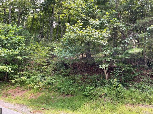 #10 Mountain Drive North, Hiawassee, GA 30546