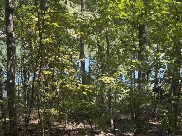 320 Lakeside Drive , Fairfield Bay, AR 72088