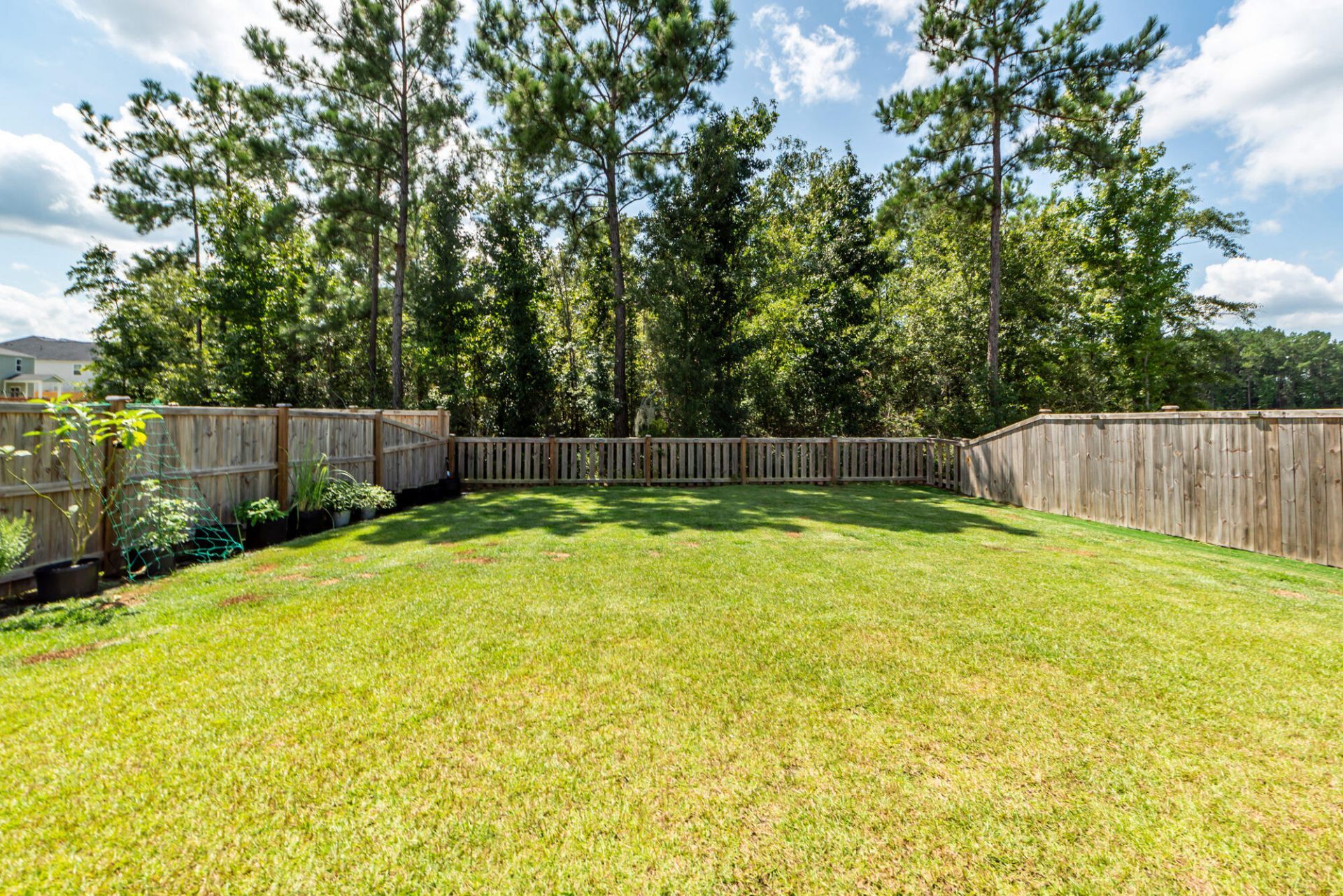 239 Pine Crest View Drive Photo 14