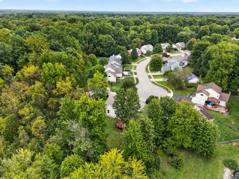 1321 Covedale Lane, Batavia Township, OH 45102 Photo 68