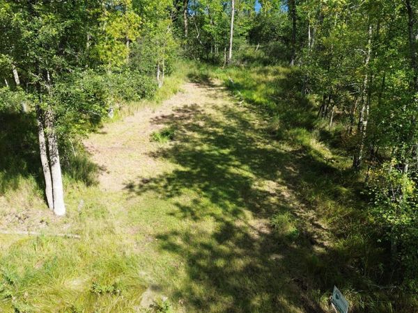 TBD Sheshebe Road , McGregor, MN 55760