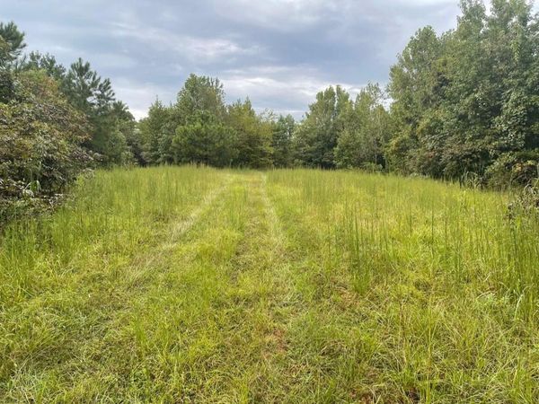 1303 County Road 153, New Albany, MS 38652
