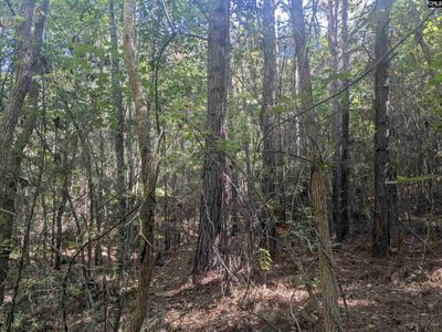 0 Timberlane Drive , Winnsboro, SC 29180