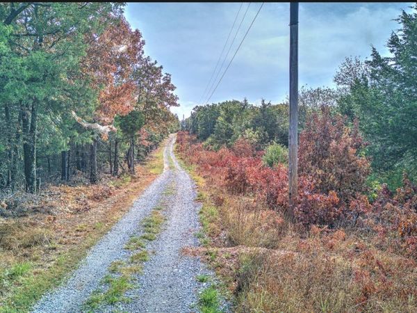 Wallin Mountain Rd , Greenland, AR 72737