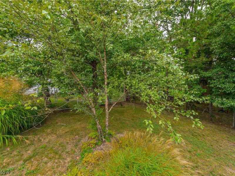 2600 Somia Drive, Parma, OH 44134 Photo 33