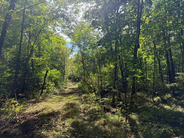 TBD (A) Sand Creek Road, Bruno, MN 55712