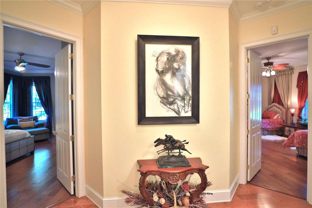 800 SW 144th Court Road, Ocala, FL 34481 Photo