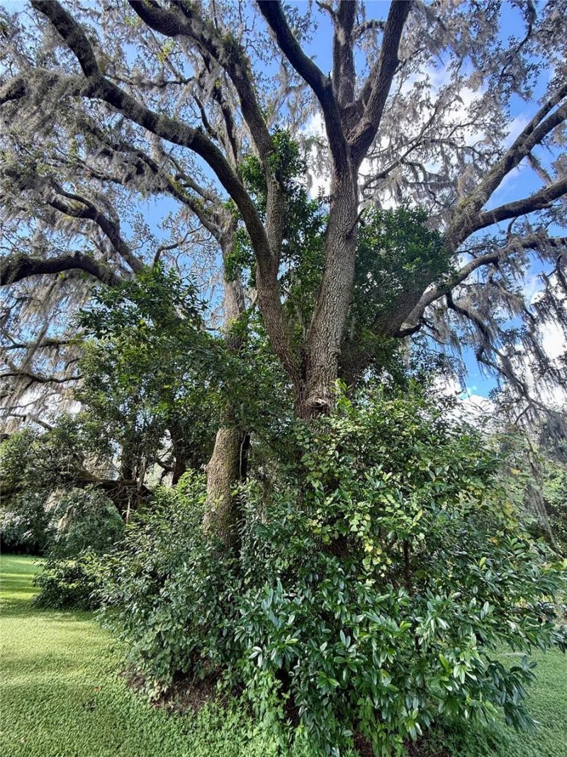 380 Moale Road , Brooksville, FL 34604 Photo