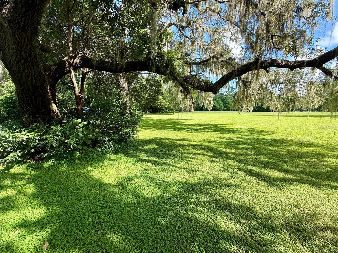 380 Moale Road , Brooksville, FL 34604 Photo