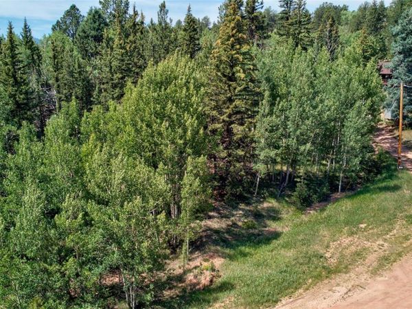 158 Rattler Court , Cripple Creek, CO 80813