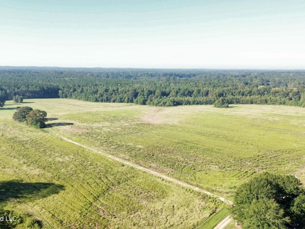 132 Collins Road, Florence, MS 39073