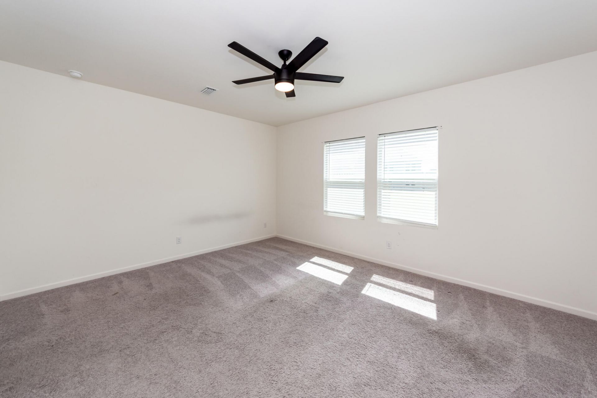 713 Pisces Lane Photo 18
