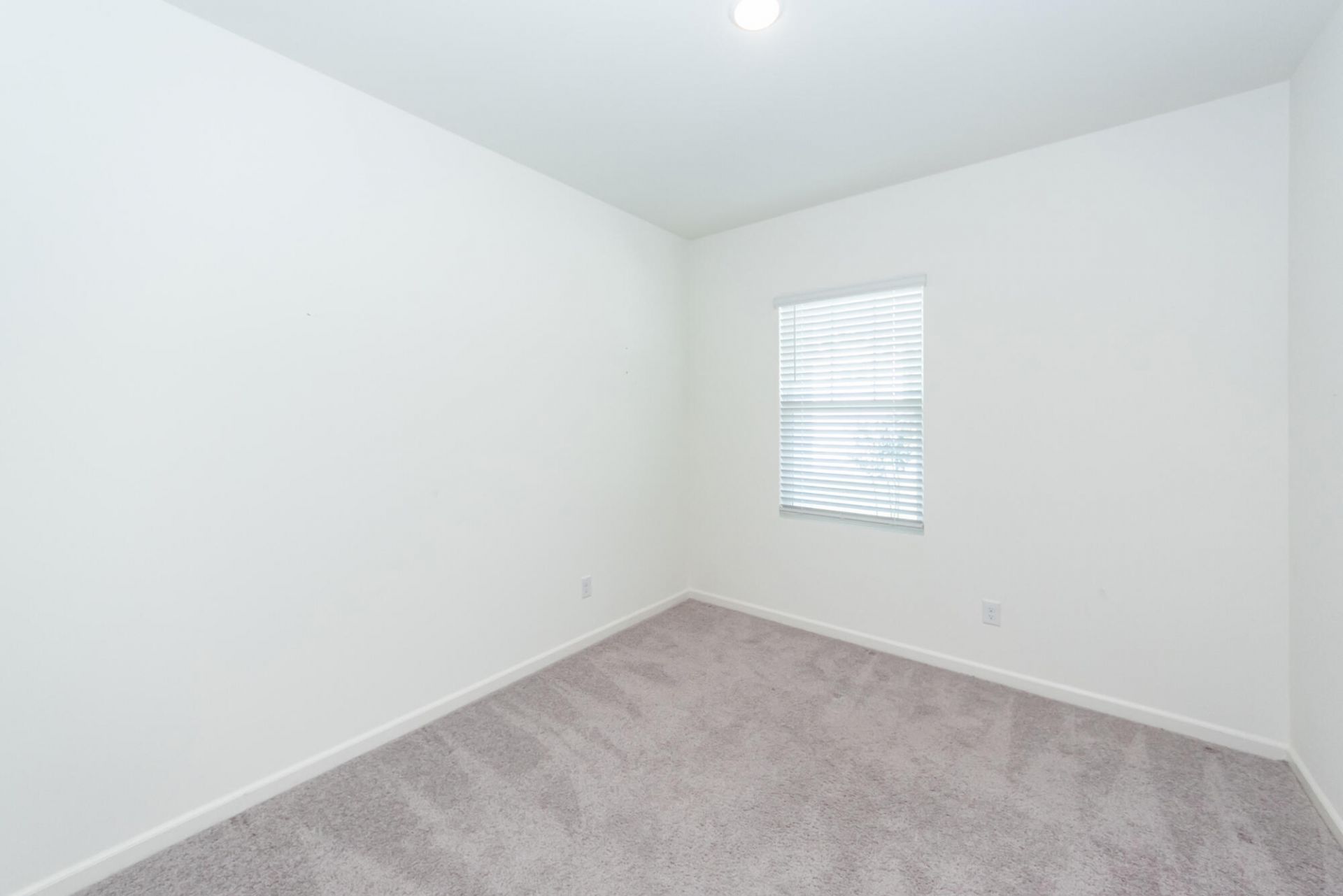 713 Pisces Lane Photo 25