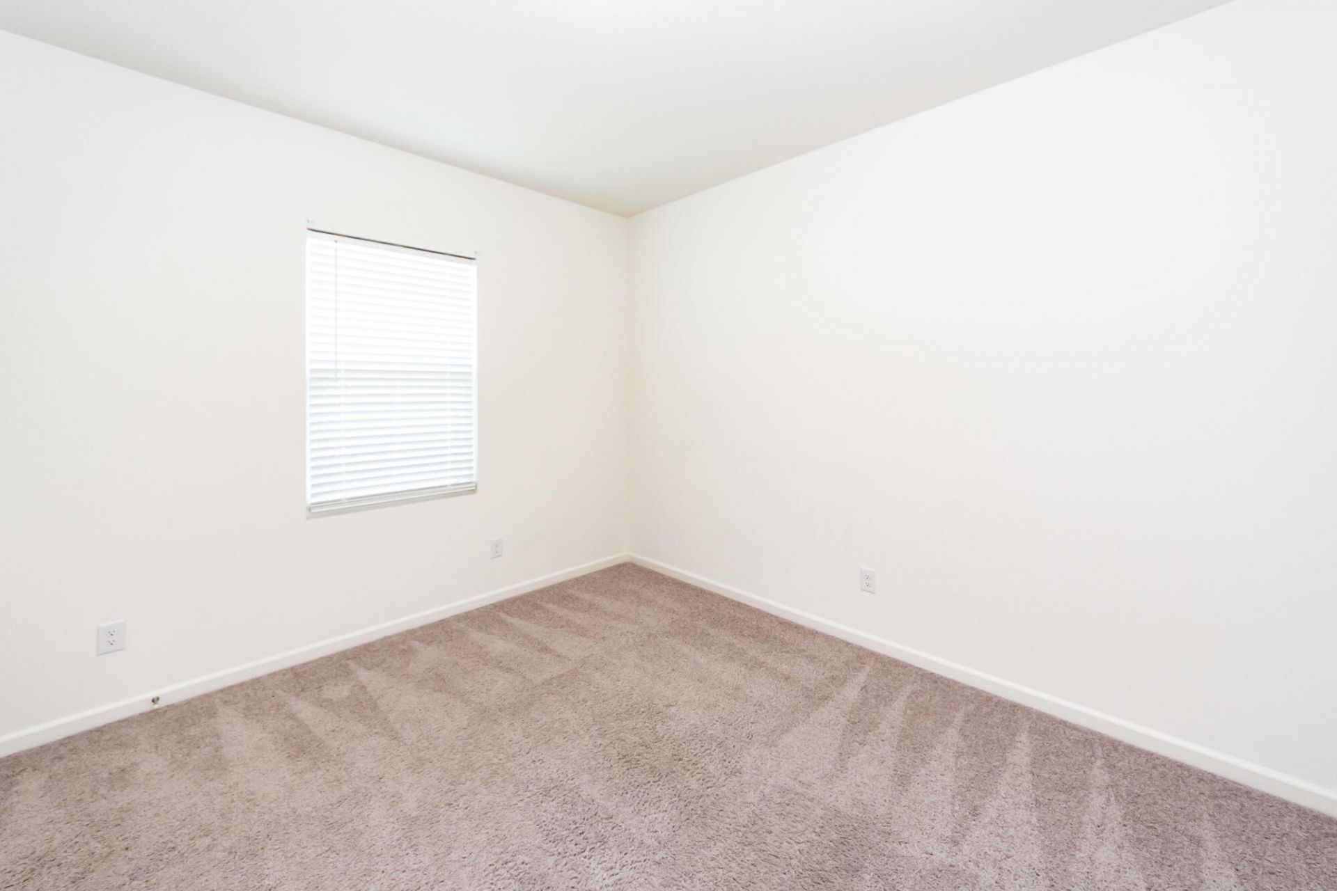713 Pisces Lane Photo 36