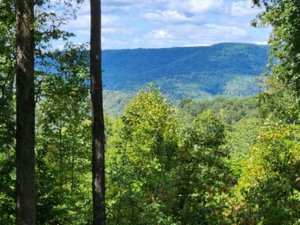 Lot 73 Tomahawk Rd, Jamestown, TN 38556