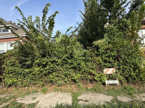 7219 S Aberdeen Street , Chicago, IL 60621