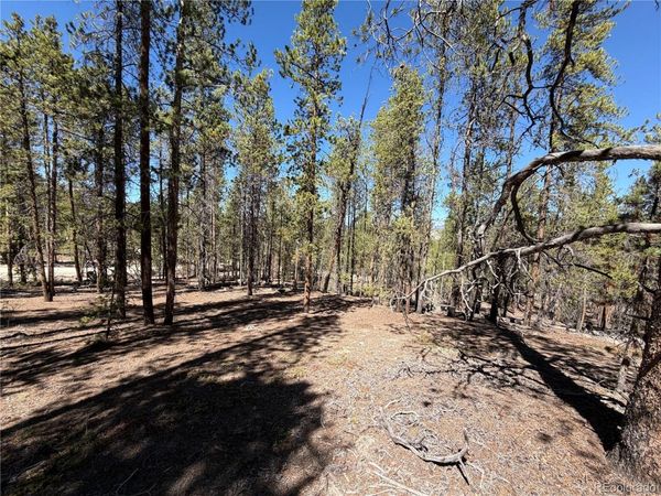 350 Mount Massive Drive, Twin Lakes, CO 81251