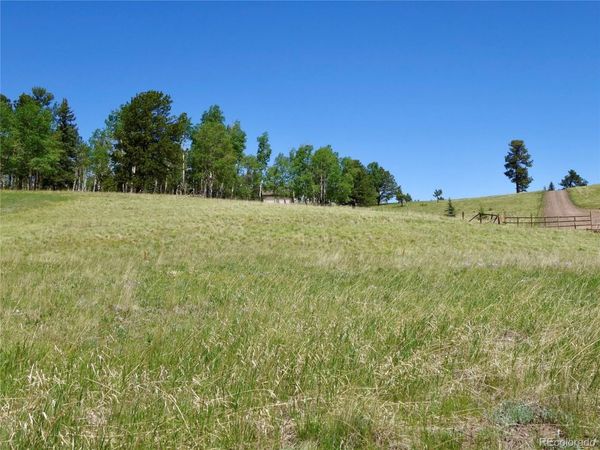 307 Pinaceae Heights , Divide, CO 80814