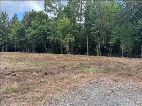 0 Hwy 172 , Keatchie, LA 71046