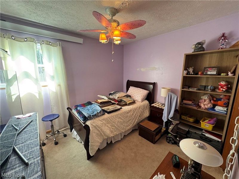 514 Carson Avenue, Grand River, OH 44045 Photo 16