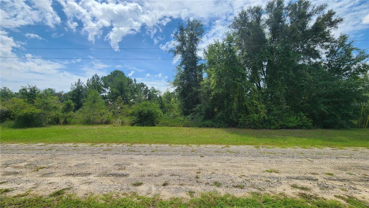 608 E Irene Lane , Citrus Springs, FL 34434 Main Photo