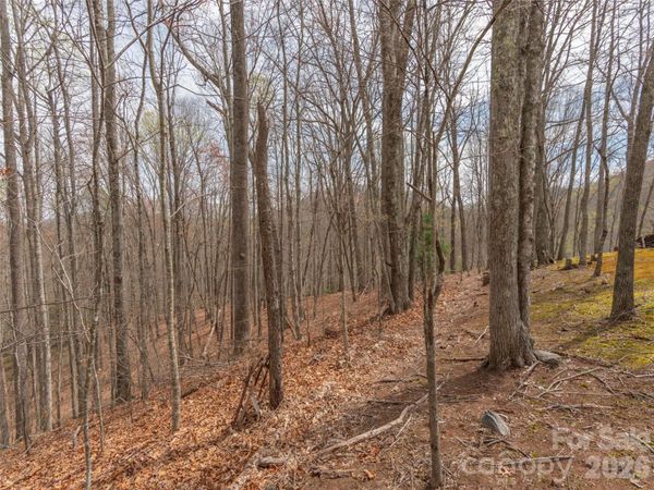00 Michele Lane , Leicester, NC 28748