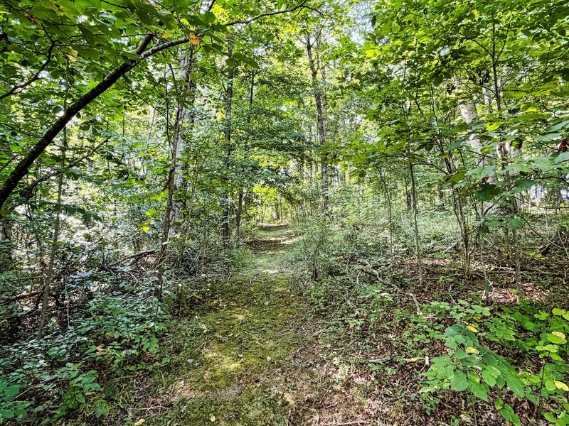 16961 Harble Griffith Road , Logan, OH 43138 Photo 17