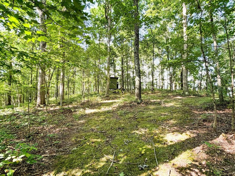 16961 Harble Griffith Road , Logan, OH 43138 Photo 18