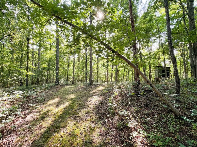 16961 Harble Griffith Road , Logan, OH 43138 Photo 19