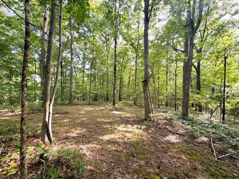 16961 Harble Griffith Road , Logan, OH 43138 Photo 20
